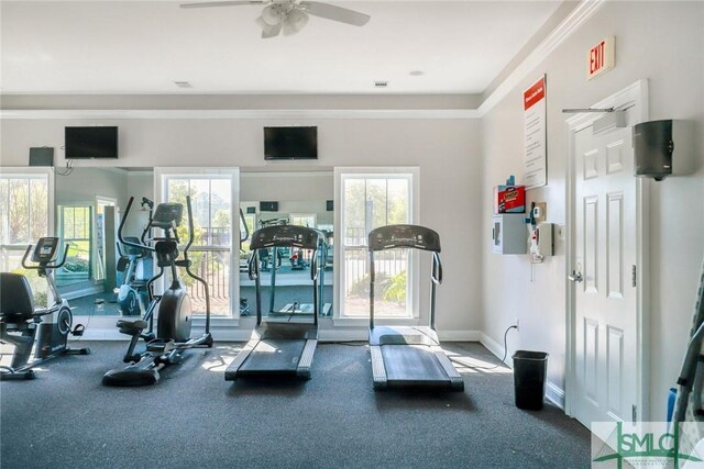 exercise room featuring ceiling fan, a wealth of natural light, crown molding, and carpet flooring