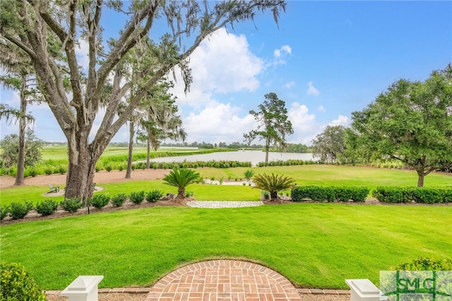 1654 Dublin Dr, Richmond Hill, GA 31324 - view of community with a water view and a yard