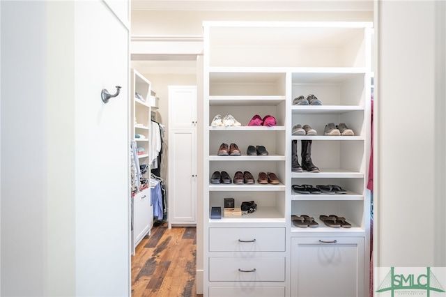 walk in closet featuring hardwood / wood-style flooring