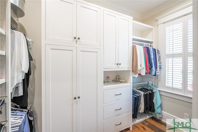 spacious closet with wood-type flooring