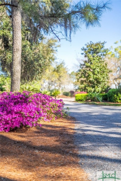 1654 Dublin Dr, Richmond Hill, GA 31324 - exterior space