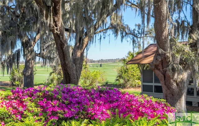 1654 Dublin Dr, Richmond Hill, GA 31324 - view of home's community