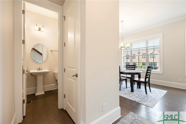 hall with a notable chandelier, dark hardwood / wood-style flooring, and crown molding