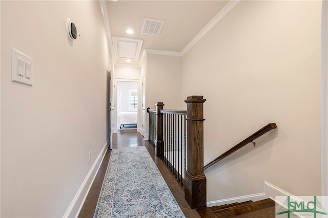 hall with dark hardwood / wood-style floors and crown molding