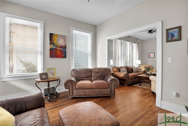 living room with ceiling fan and wood-type flooring