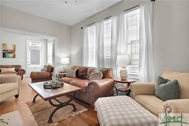 living room featuring light hardwood / wood-style flooring