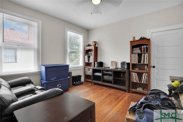 living room featuring ceiling fan and light hardwood / wood-style floors