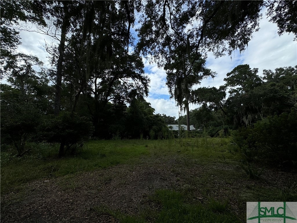7408 Driftwood Ave, Savannah, GA 31406 - photo 1