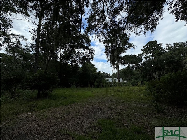 7408 Driftwood Ave, Savannah GA, 31406 land for sale