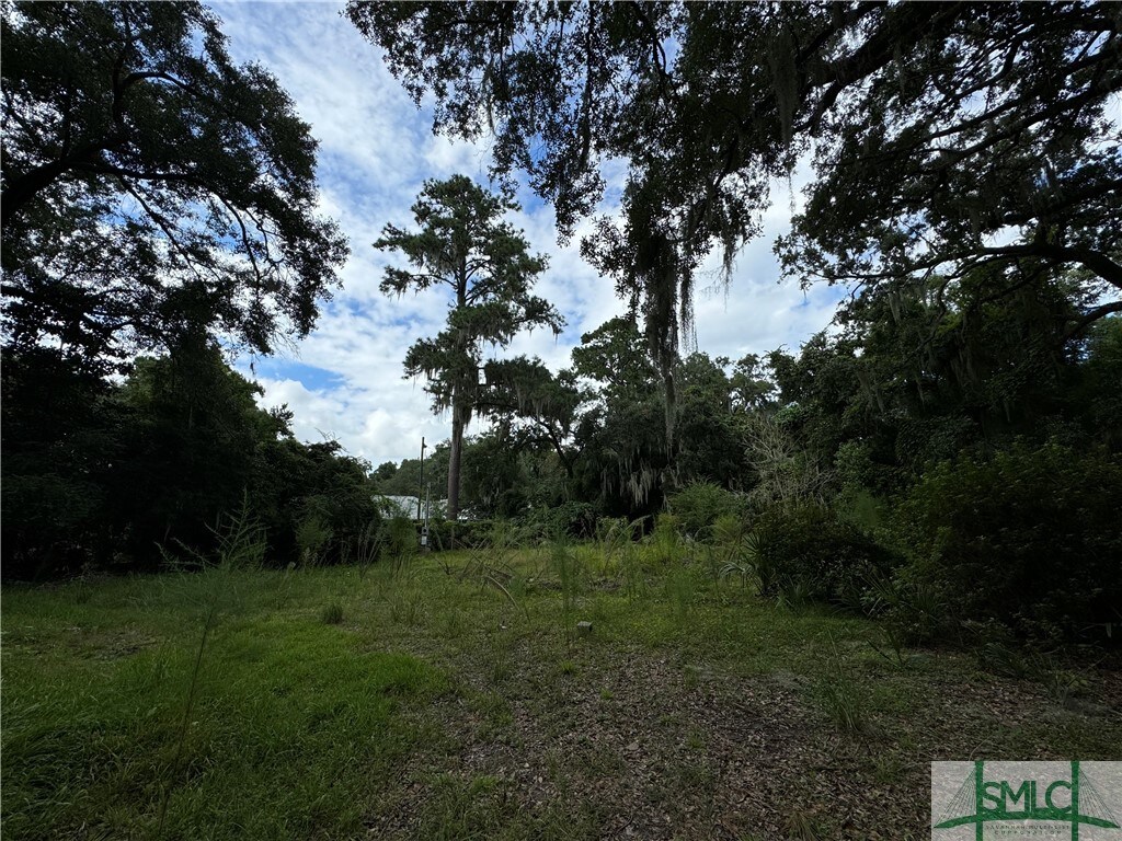7408 Driftwood Ave, Savannah, GA 31406 - photo 2