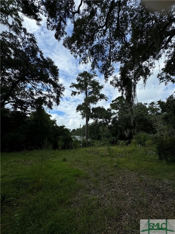 7408 Driftwood Ave, Savannah, GA 31406 - photo 3