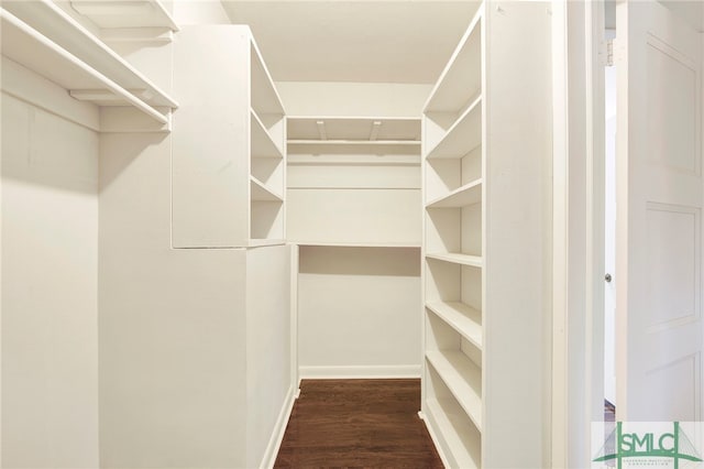 spacious closet featuring dark hardwood / wood-style flooring