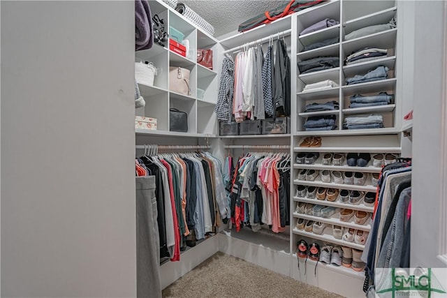 spacious closet with carpet