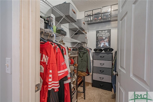 walk in closet with carpet flooring