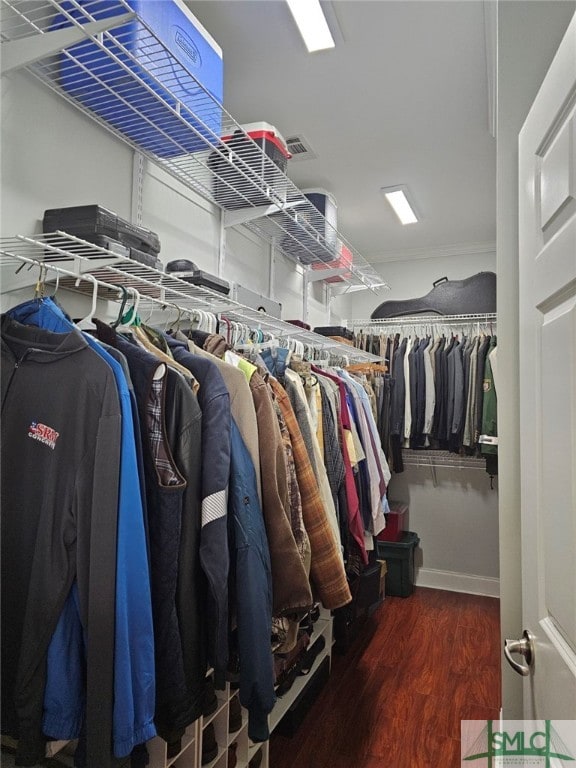 spacious closet featuring wood finished floors