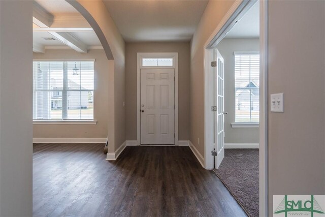 foyer featuring dark hardwood / wood-style floors and a healthy amount of sunlight