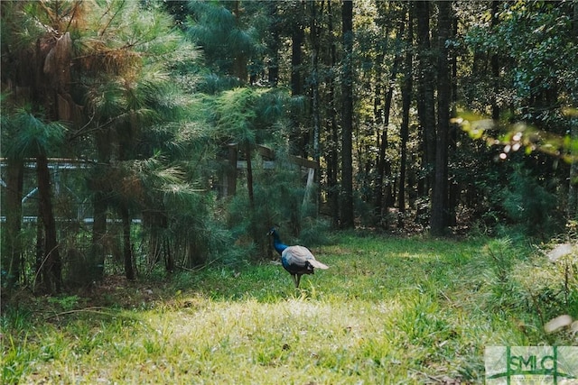 view of nature with a view of trees