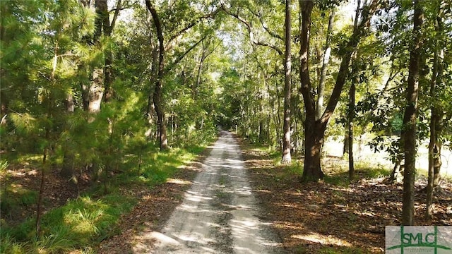 view of road with a forest view