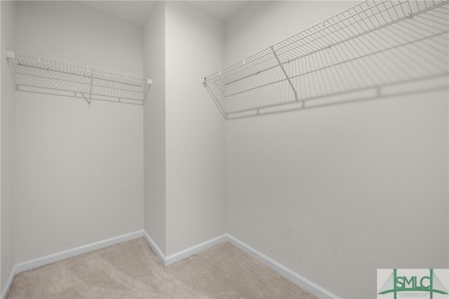 spacious closet featuring carpet