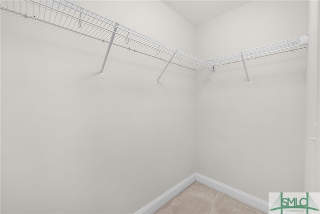 walk in closet with carpet