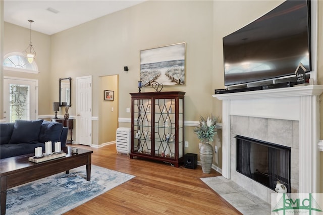 living room with a fireplace and hardwood / wood-style flooring