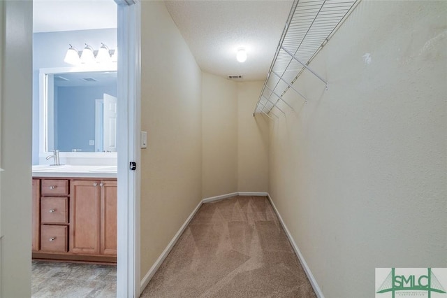 spacious closet featuring sink and light carpet