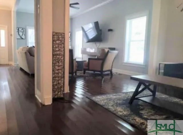 living room with ceiling fan, dark hardwood / wood-style flooring, and ornamental molding