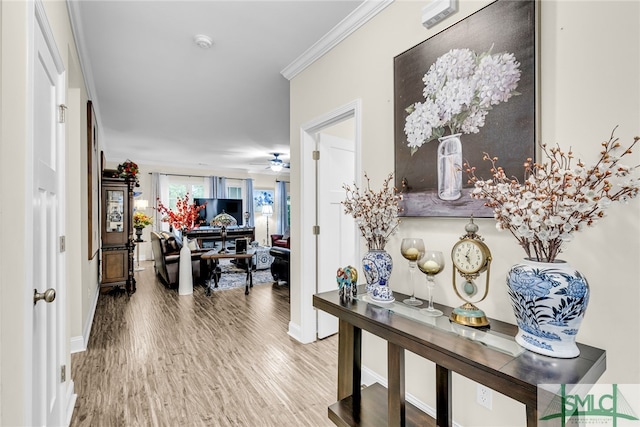 corridor with crown molding and hardwood / wood-style floors