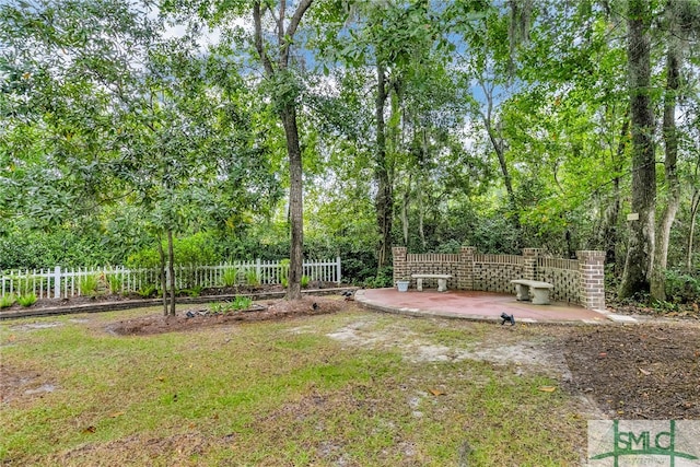 view of yard with a patio