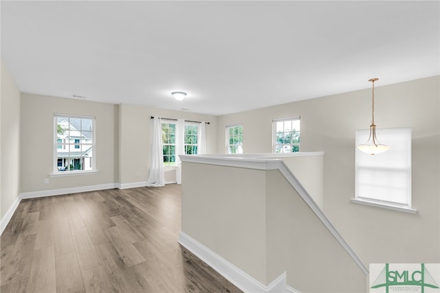 hall with hardwood / wood-style floors and a healthy amount of sunlight