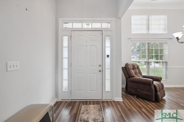 foyer entrance with dark wood-type flooring