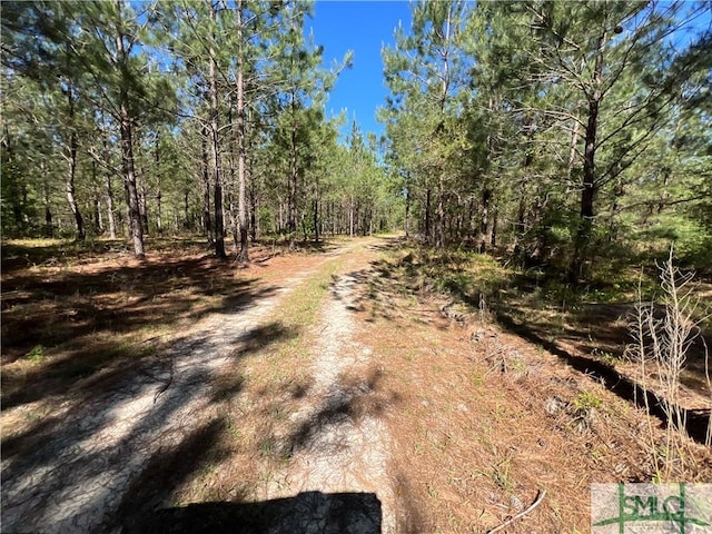 120 Saint Galilee Rd, Midville, GA 30441 - view of street with a view of trees