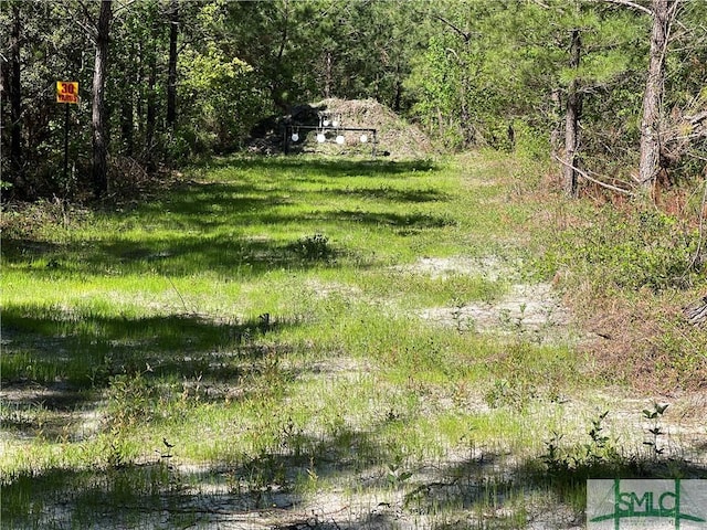 120 Saint Galilee Rd, Midville, GA 30441 - view of yard
