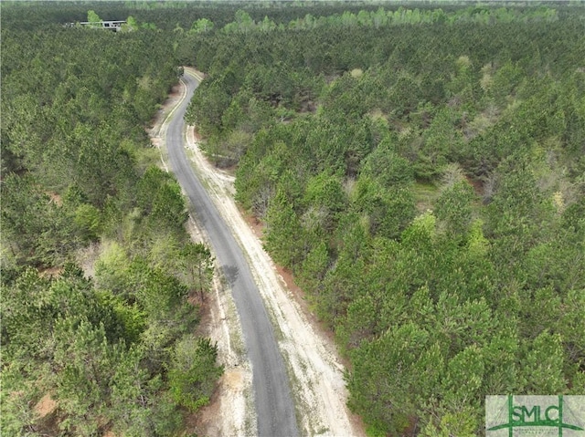 120 Saint Galilee Rd, Midville, GA 30441 - view of property location with a forest