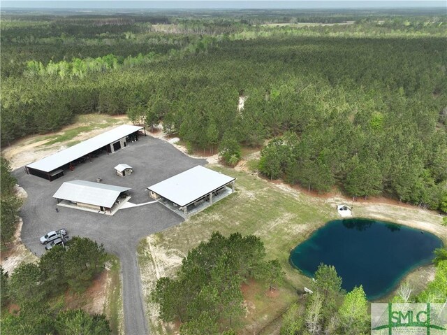 120 Saint Galilee Rd, Midville, GA 30441 - aerial overview of property's location with a heavily wooded area and a nearby body of water