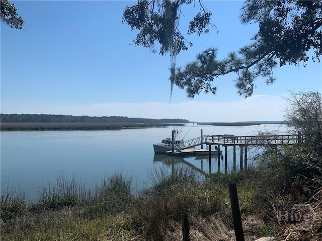 50AC Hidden Lagoon Ln NE, Townsend, GA 31331 - photo 1