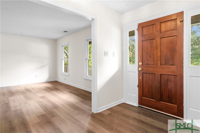 entrance foyer featuring hardwood / wood-style flooring