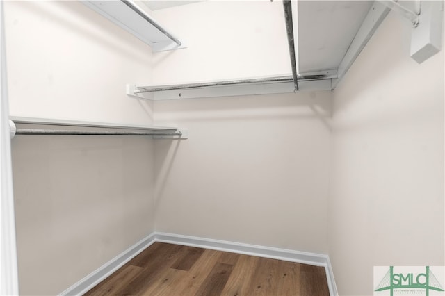 spacious closet with dark hardwood / wood-style floors