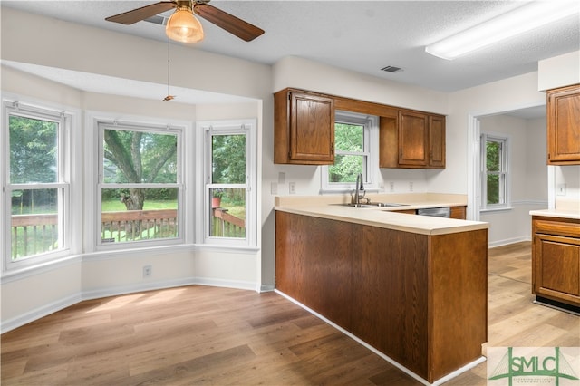 kitchen with light wood-type flooring, ceiling fan, and a wealth of natural light