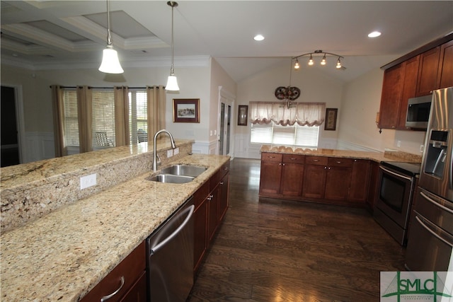 kitchen featuring plenty of natural light, stainless steel appliances, sink, and dark hardwood / wood-style flooring