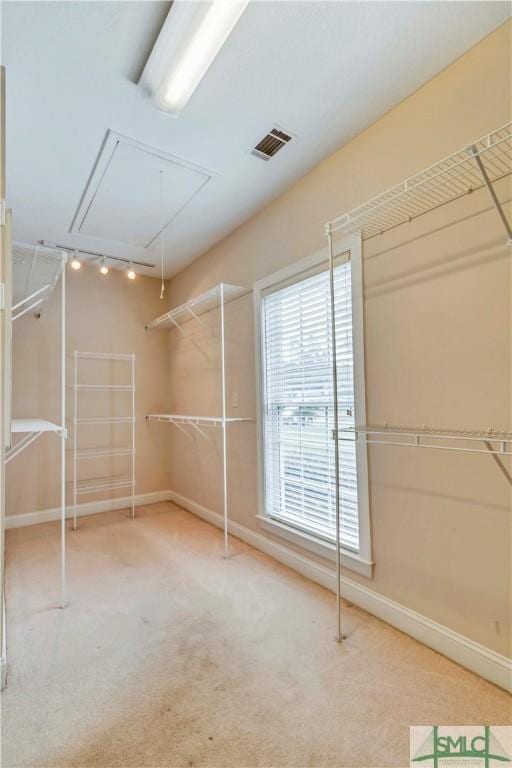 spacious closet with carpet floors