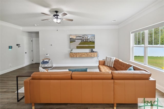 living room featuring dark hardwood / wood-style flooring, ceiling fan, and crown molding