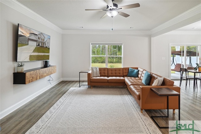 living room with ornamental molding, wood-type flooring, and ceiling fan