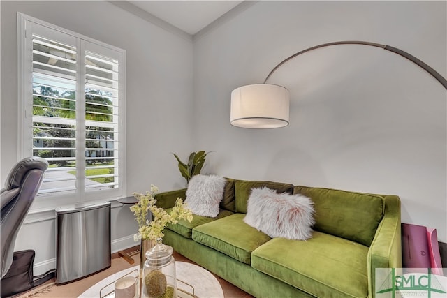 living room featuring crown molding and light hardwood / wood-style flooring