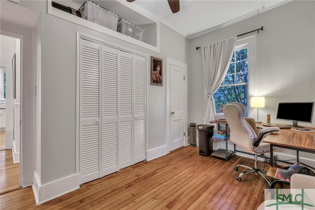 office space with crown molding, hardwood / wood-style flooring, and ceiling fan