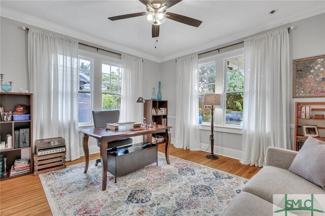 office space with ceiling fan, ornamental molding, and light hardwood / wood-style floors