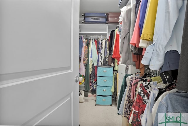 walk in closet with carpet