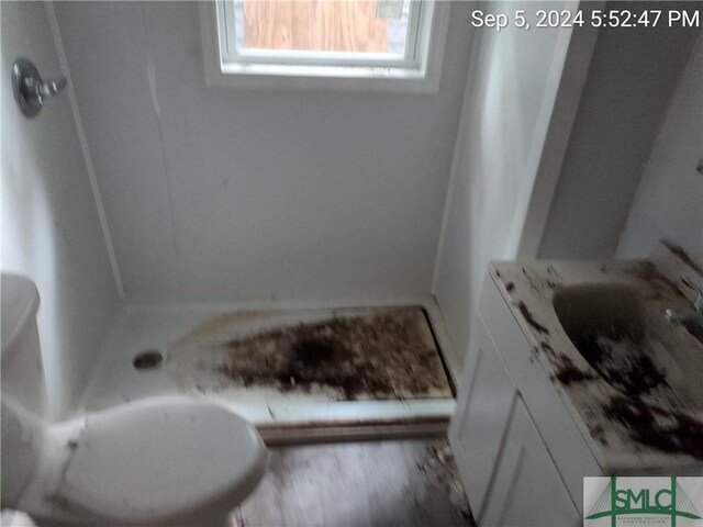 bathroom featuring a shower, toilet, and vanity