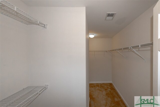 spacious closet featuring carpet floors