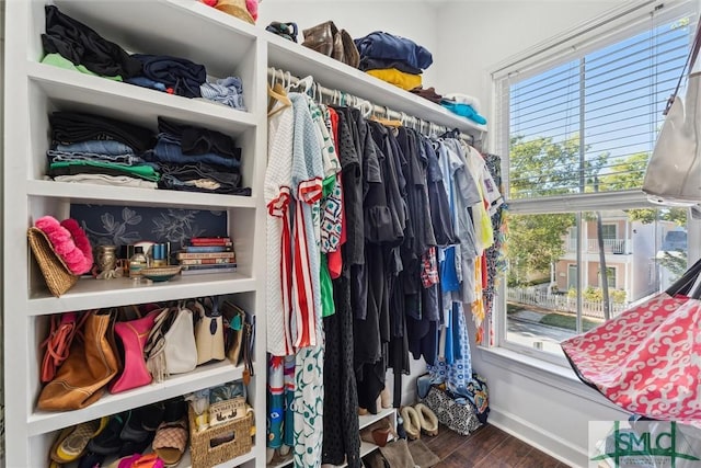 spacious closet featuring wood finished floors